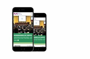 默克blog 高端網站建設案例 上海雍熙